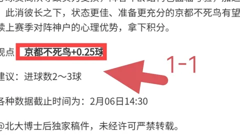 火箭对决鹈鹕比赛结果分析